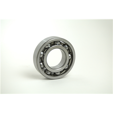 Bearings Limited6309/C3  TTN